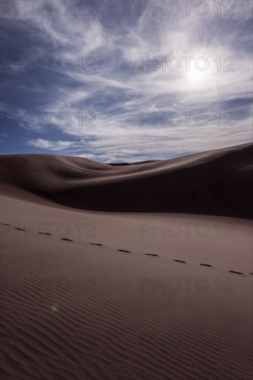 Footprints in desert sand dunes