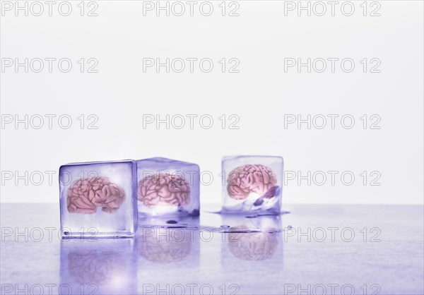 Brains frozen in ice cubes