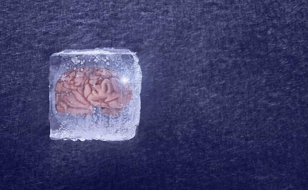 Brain frozen in ice cube