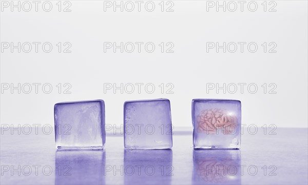 Brain frozen in ice cube