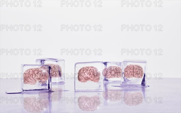 Brains frozen in ice cubes