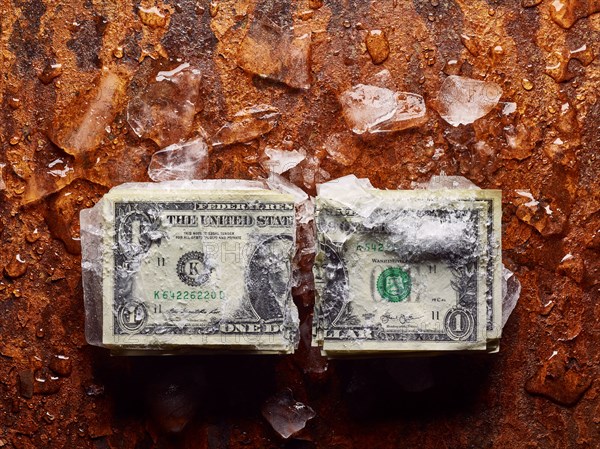 Broken dollar frozen in ice