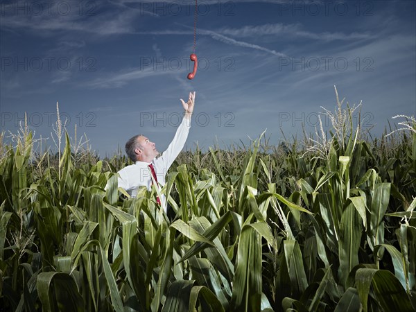Caucasian businessman in corn field reaching for red telephone