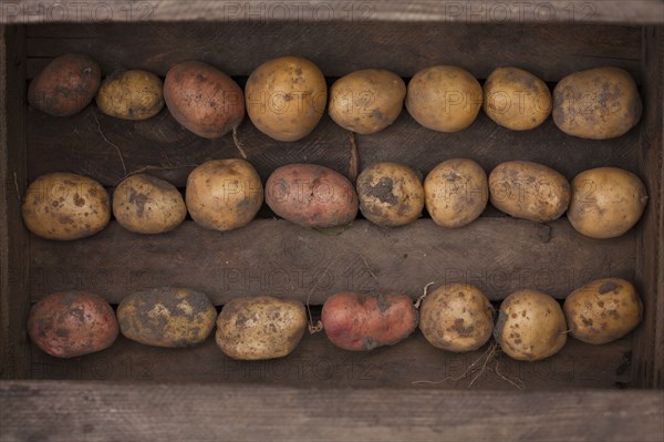 Potatoes in wooden box