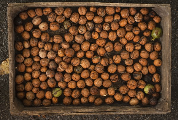 Walnuts in wooden box