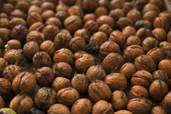 Walnuts