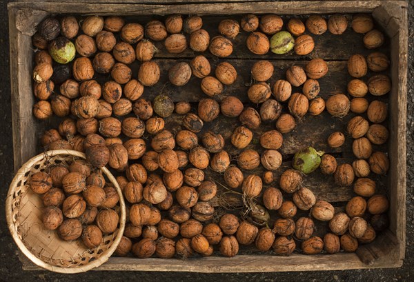 Bowl of walnuts in wooden box