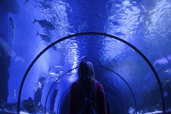 Caucasian woman admiring fish in aquarium