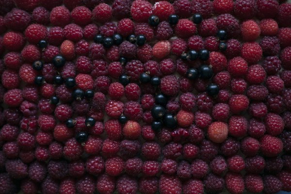 Raspberries and blueberries