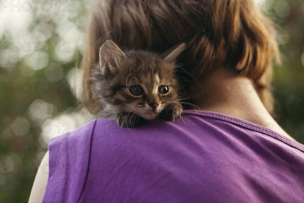 Face of cat sitting on shoulder of woman