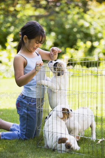 Asian girl giving treat to puppies in pen outdoors