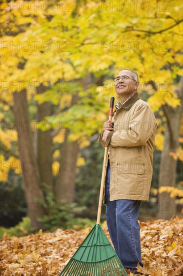 Hispanic man raking autumn leaves