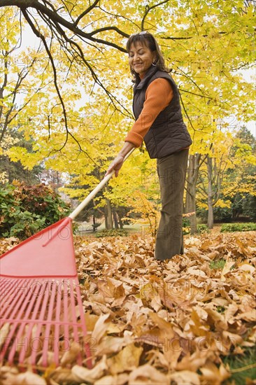 Hispanic woman raking autumn leaves