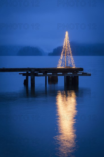 String of lights in tree shape on wooden pier