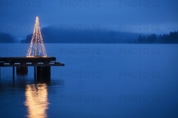 String of lights in tree shape on wooden pier