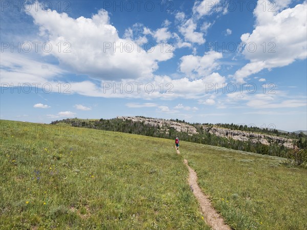 Distant Japanese hiker walking on dirt path