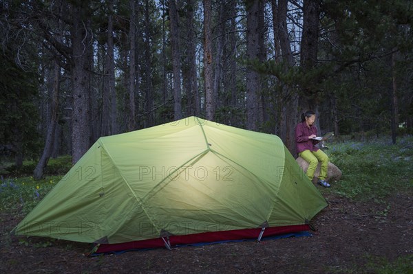 Japanese woman using laptop at campsite