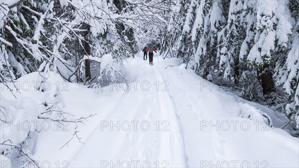 Caucasian couple cross country skiing in snow