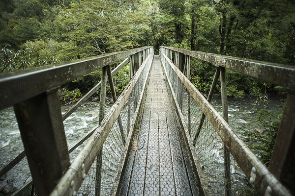 Wooden bridge over river in forest