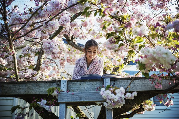 Mixed race girl reading book in tree house