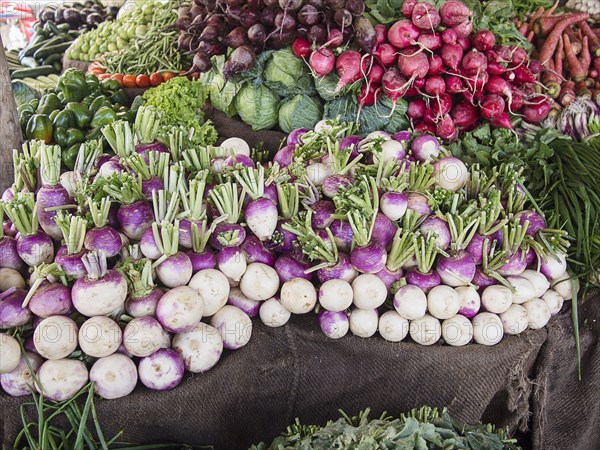 Fresh vegetables for sale in market