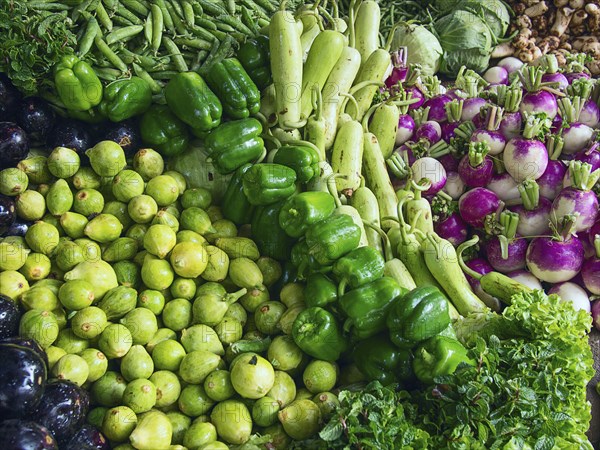 Fresh vegetables for sale in market