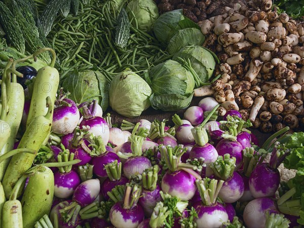 Fresh vegetables for sale in market