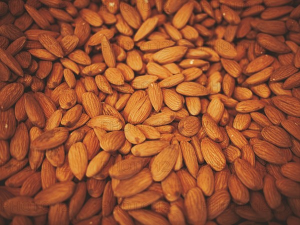 Close up of pile of almonds