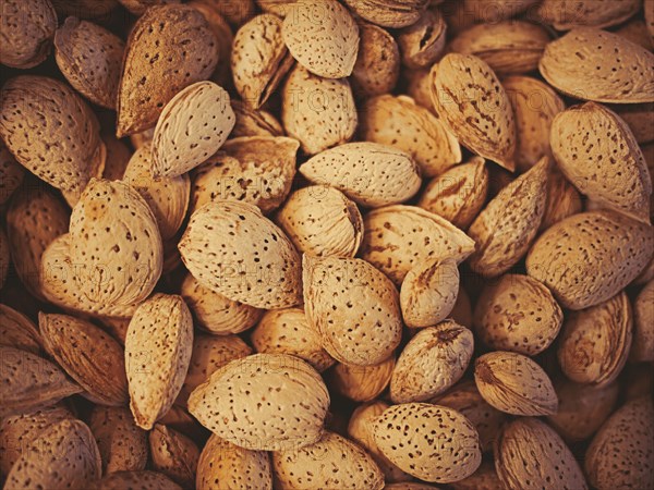 Close up of pile of almonds