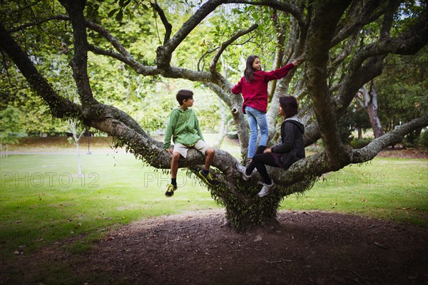 Children and mother climbing tree branches in park