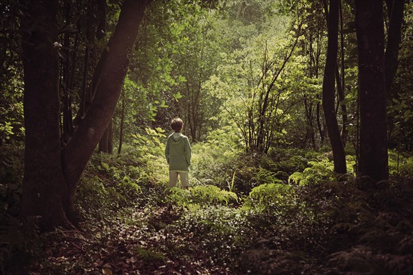 Mixed race boy exploring lush forest