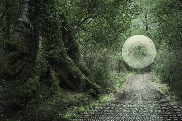 Glowing orb floating in forest over binary code path