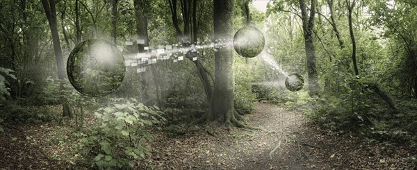 Orbs passing pixelated information in remote forest