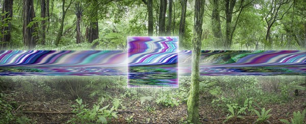 Distorted digital stream in remote forest