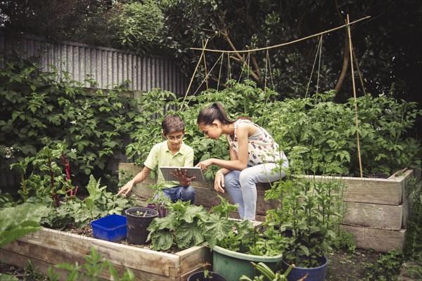 Mixed race children using digital tablet in garden