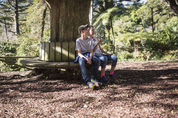 Mixed Race brother and sister sitting on bench at tree