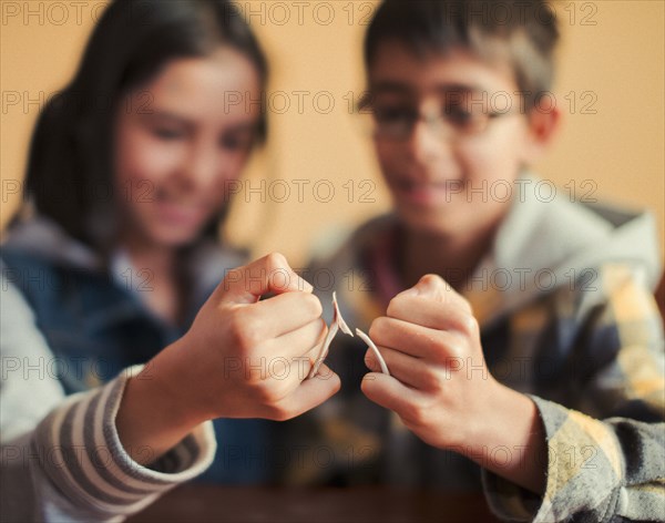 Mixed Race brother and sister snapping wishbone