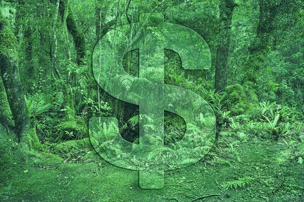 Dollar sign on green forest