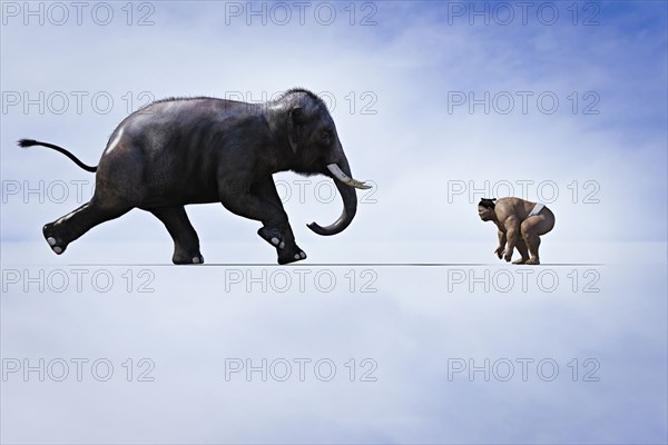 Elephant charging Sumo wrestler