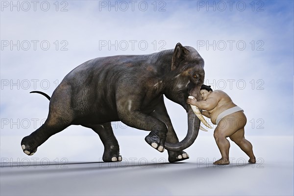 Sumo wrestler fighting elephant