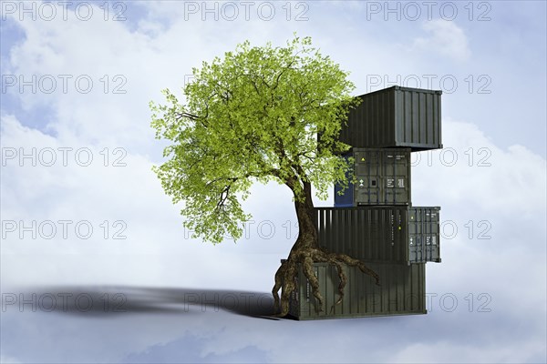 Tree growing roots on stack of cargo containers