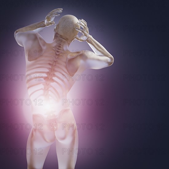 Skeleton inside transparent man with back pain