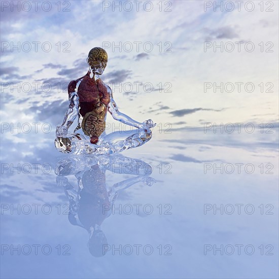 Organs of transparent man meditating in cloudy sky