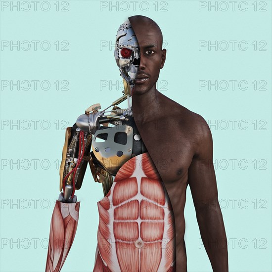 Cutaway of cyborg