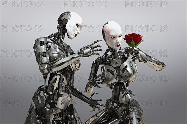 Women robots examining flower