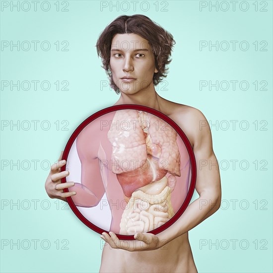 Internal organs of man