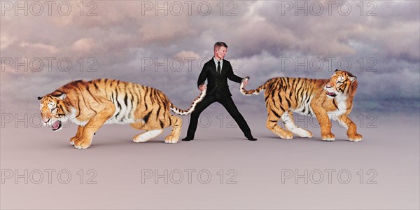Businessman holding tigers by the tails