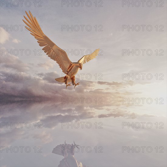 Reflection of eagle flying in clouds