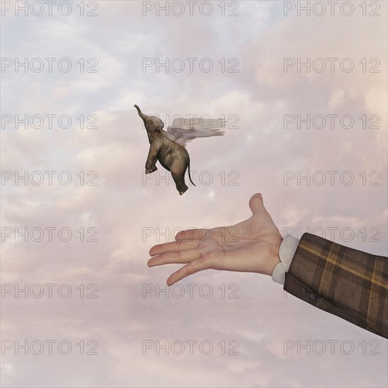 Hand of man releasing flying baby elephant