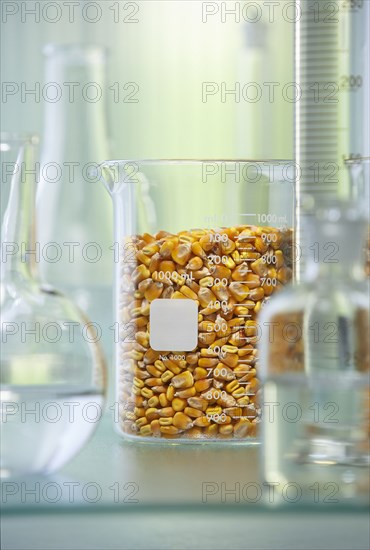 Corn kernels in beaker